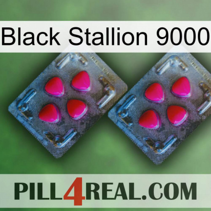 Black Stallion 9000 14